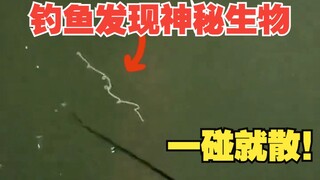 Makhluk misterius yang ditemukan saat memancing - cacing pasir