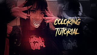 ALIGHT MOTION COLORING TUTORIAL