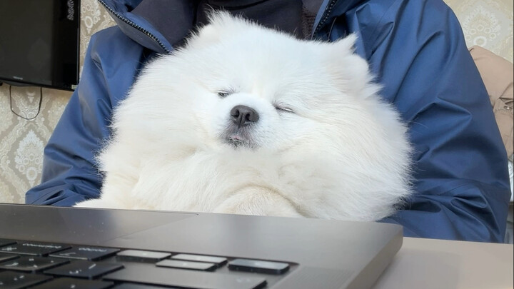 It feels so cozy when my upper and lower eyelids close together.