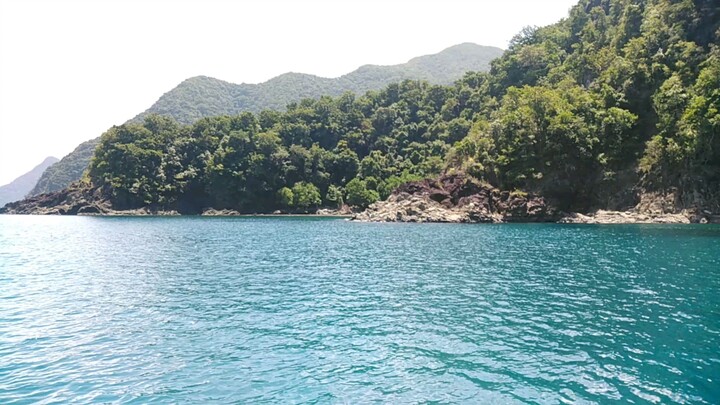 short clip #ocean#baler#water#tousitdestination