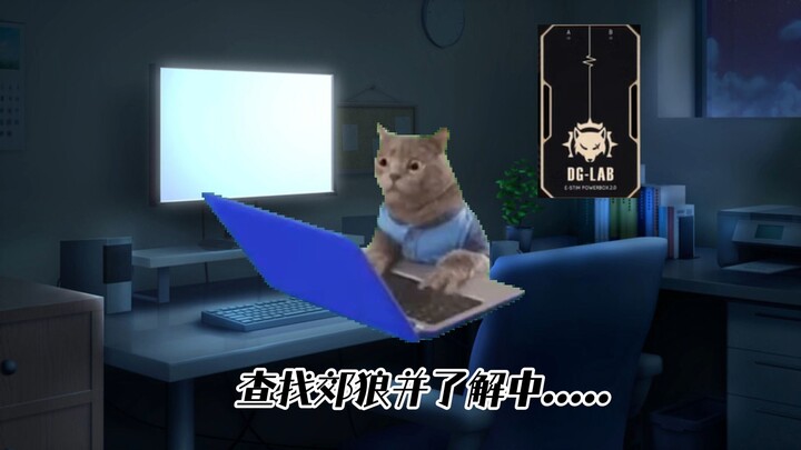 因为男娘朋友少年染上郊狼 ▏猫meme