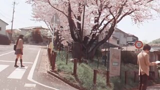 Kimi ni Todoke【好想告诉你】【三浦春马x多部未华子】悬溺一响 纯爱登场