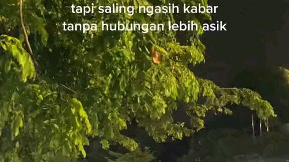effort njir