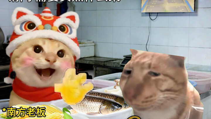 When Northerners Shop for Produce in the South