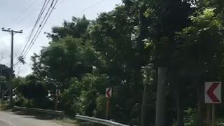 pabukid