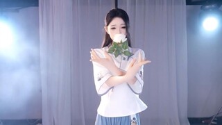 ดอกคามิเลียไม่เข้าใจกุหลาบขาว (ใหม่)