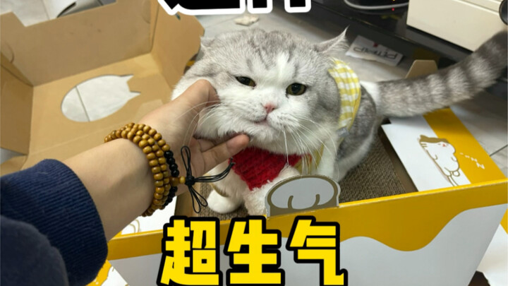 I’m laughing so hard, hahaha!