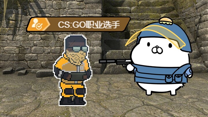 【CSGO】Maaf, saya polisi!