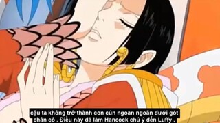 Đây là lý do vì sao Luffy không cưa mà Boa Hancock vẫn phải đổ   (tiếp)