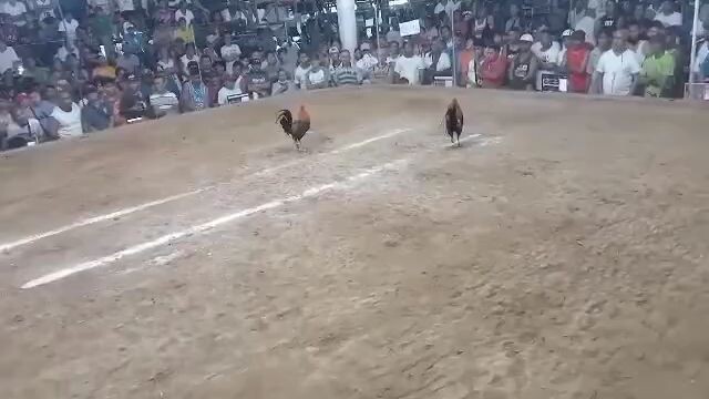 kabig na Gilmore namin kahit na dihado panalo parin