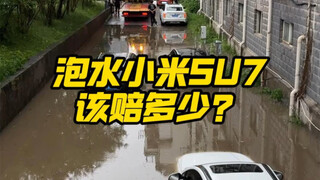 Xiaomi SU7 standard version was submerged in water after driving 80,000 kilometers—how will the insu