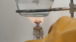 初中化学——酒精灯