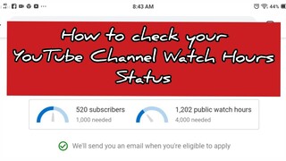 How to check your YouTube Channel Status?