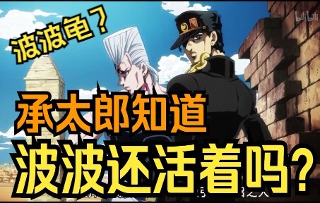 承太郎知道波波龟的存在吗？为什么不带波波去石之海？jojo剧情分析