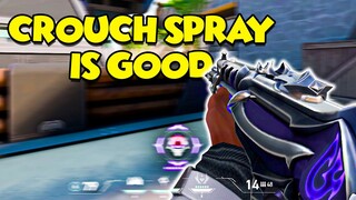 CROUCH SPRAY is Good | Valorant Montage #2