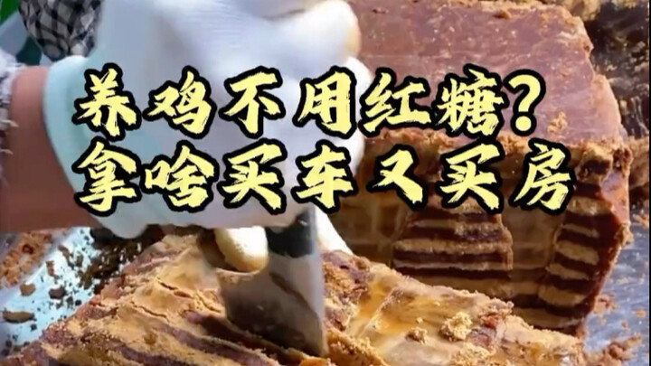 Nuôi gà mà không dùng đường nâu? Đầu óc mày bị gà mổ à? Thứ này giúp bạn mua được cả xe lẫn nhà đấy!