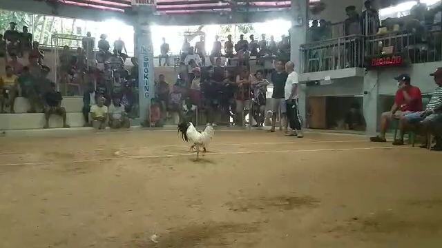 win tayo kaso patay din