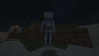 Gimana ya rasanya menjadi SKELETON di minecraft...?