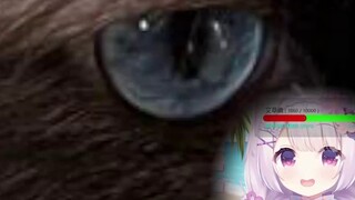 Be wary of pets’ pupil reflections when opening boxes! ! ! !