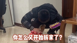 狗子怎么也想不到会被用来做这种事..