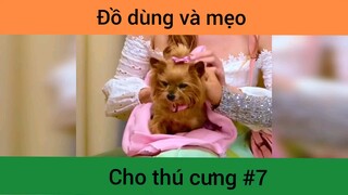 Đồ dùng và mẹo cho thú cưng p7