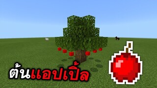 ต้นเเอปเปิ้ล!!!! มีผลออกมาเเล้ว? (คำสั่งลับ) | Minecraft PE