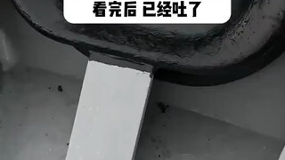 Before watching, I definitely wouldn't get seasick; after watching, I've already thrown up.