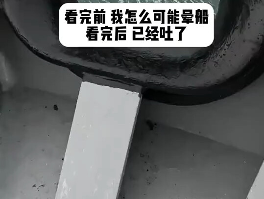 قبل أن أكمل المشاهدة، كيف كان من الممكن أن أصاب بدوار البحر؟ وبعد أن انتهيت، تقيأت بالفعل.