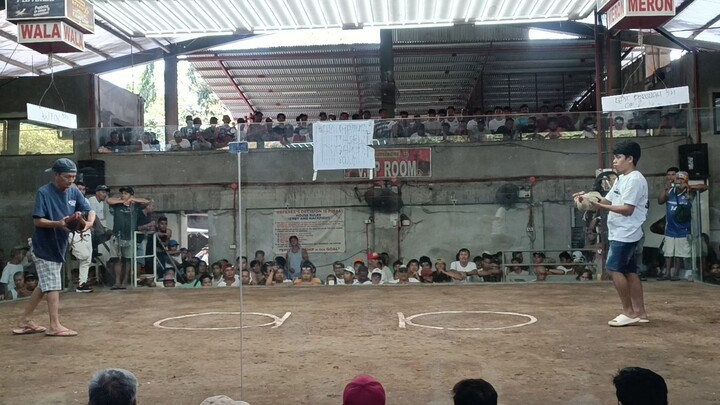 2x na si hiraw kahit malaki at magulang ang kalaban #manok ni dadijoe