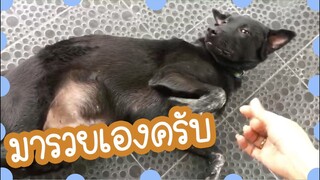 โลกของแสนดี ตอน คิดถึงมารวยกันมั้ย?