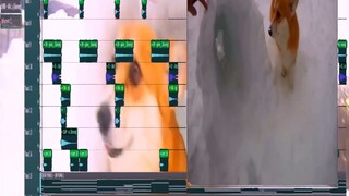 doggy playing in the snow type beat :)