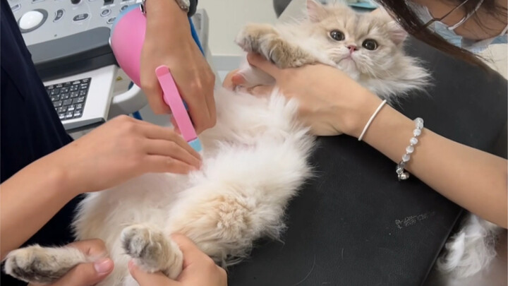 Nana is sick too…