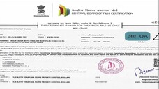 Ponman (2025) Dual Audio [Hindi ORG & Malayalam]