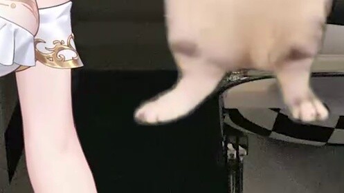 Về việc tôi bị yêu cầu viết 8.000 bản nháp trước khi ra mắt [cat meme]