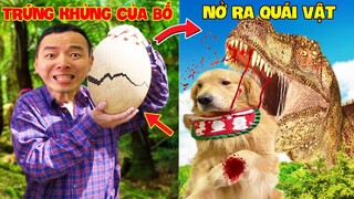 Thú Cưng Vlog | Tứ Mao Ham Ăn Đại Náo Bố #44 | Chó gâu đần thông minh vui nhộn | Funny smart pet dog