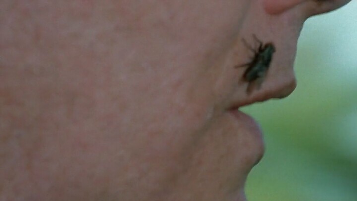 Episode kelima dari musim ketiga "X-Files", terpidana mati yang terlahir kembali akan membawa lalat 