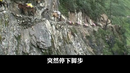 Cùng trekking vượt dãy Himalaya, thứ lãng mạn đến mức phim cũng không thể tái hiện # Phim tài liệu