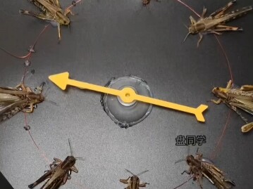 When Your Teammate Is CS