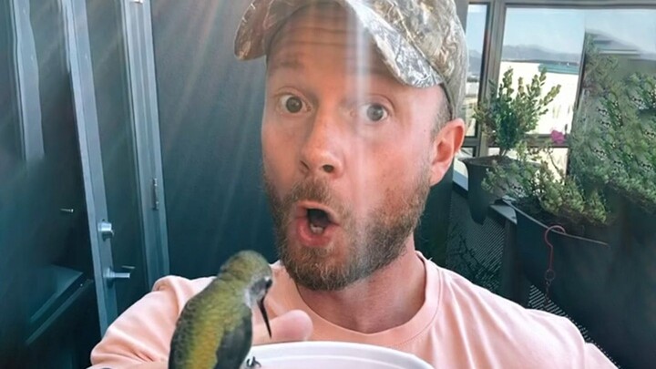 Seekor burung kolibri dengan keluarga yang bersyukur