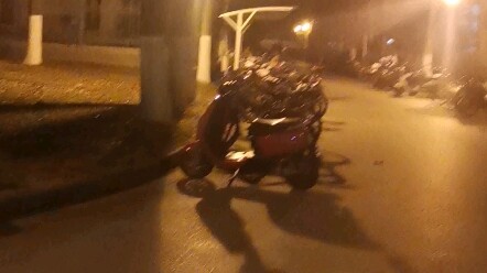 Ketemu anjing pemburu darah di kampus Universitas Nanchang!