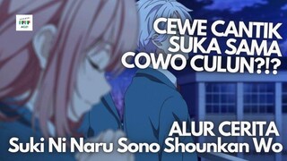 COWO CULUN DISUKAIN CEWE CANTIK?? - Alur Cerita Anime The Moment You Fall In Love