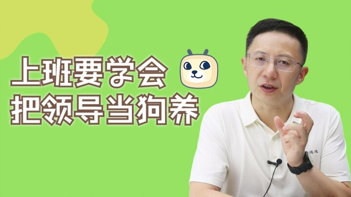 Ở nơi làm việc, bạn nên học cách đối xử với sếp như một con chó.