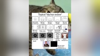 Các bạn tự vào xem có mình không 🤔haomeme haomemes memes meme memetaotiengcuoi superidol memegaycuoi