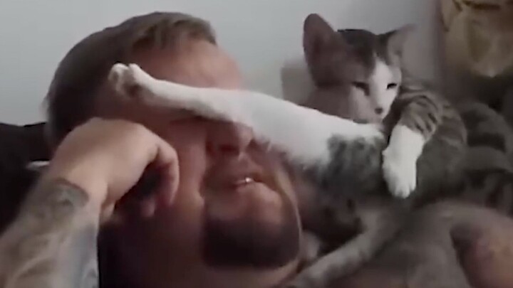 “This is probably why my girlfriend hates cats”