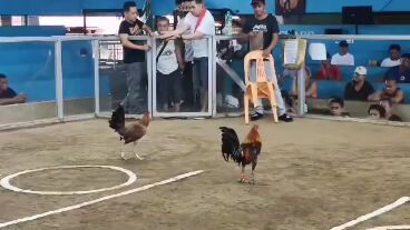 1st fight 2 hits ulutan