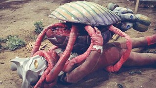 《雷欧奥特曼》童年光盘被删减的3集，圆盘生物系列抒情篇