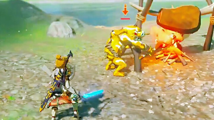 【The Legend of Zelda】Adik kecil, tunggu aku nyalain api dulu baru kita bertarung!