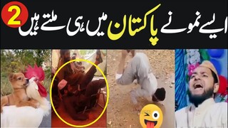 TRY NOT TO LAUGH BEST FUNNY VIDEOS 2021 COMPILATION | Must Watch Funny Video | Viral Videos | Part 2