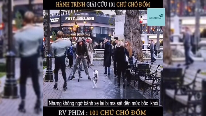 Tóm tắt phim: 101 chú chó đốm p2 #reviewphimhay