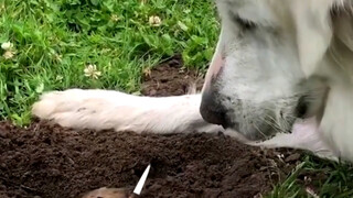 有趣的事情要分享有趣的人